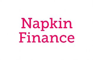 napkin finance